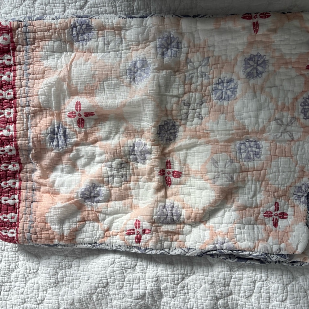Cotton Standard Shams